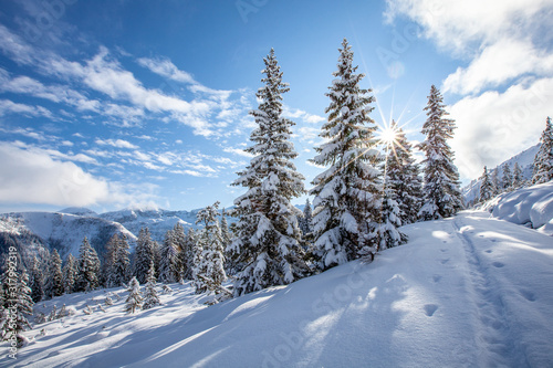 Eine tief verschneite Winterlandschaft