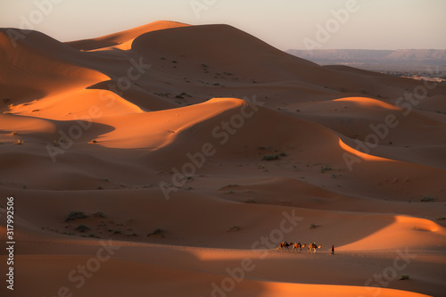 Fototapeta Naklejka Na Ścianę i Meble -  Marocco