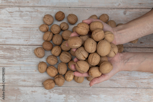 Hands holding whole walnuts on rustic old wooden table