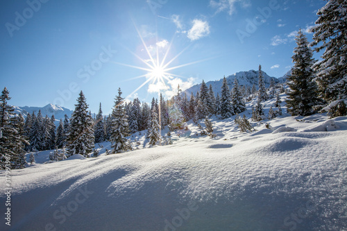 Eine tief verschneite Winterlandschaft photo