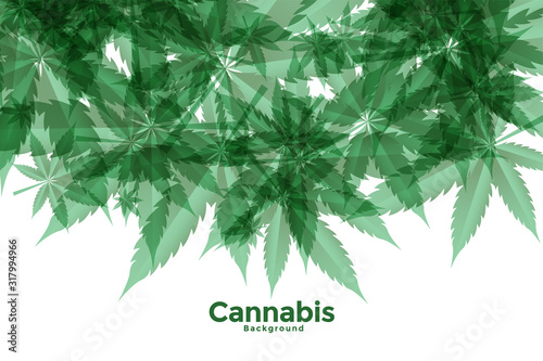 green cannabis or marijuana leaves background design
