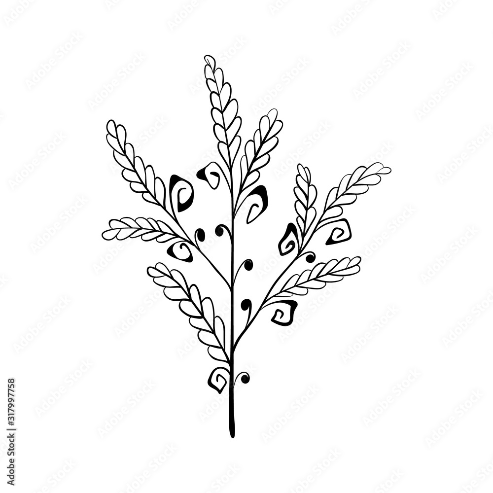 leaf plant forest herb. one stylized branch. isolated on a white background. Hand drawing sketch. leaf plant forest herb. one stylized branch. isolated on a white background. Hand drawing sketch.