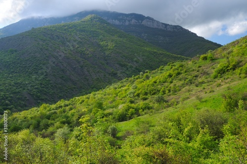 Forest mountain ridges, landscapes series, Crimea, Ukraine.