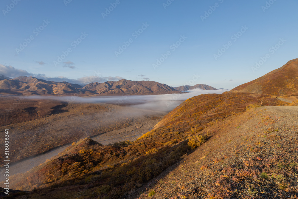 Scenic Autumn Landscape in Denali National Park