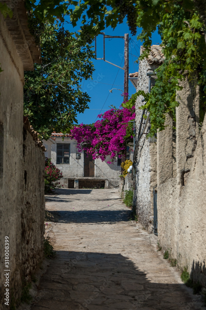 Fototapeta premium Narrow street in an old town in Greece