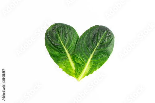 Two leaves of Romaine lettuce in the shape of a heart isolated on a white background. Healthy vegetarian food. Organic herbs