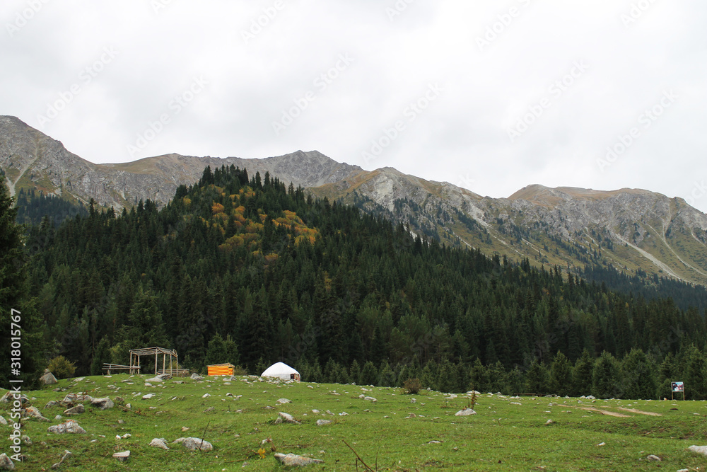 Fototapeta premium mountain landscape with flowers