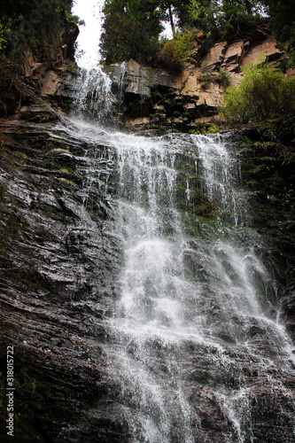 waterfall in the forest