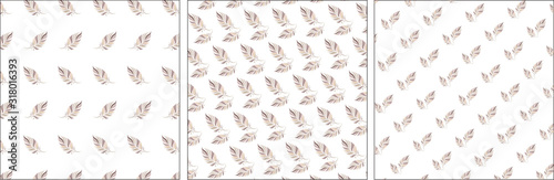  feathers indians