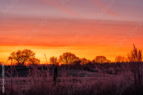 golden sunrise winter trees field morning landscape