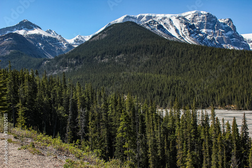 Athabasca River bed in spring season with the Canadian Rockies in the background, Jasper National Park in Alberta, Canada.
