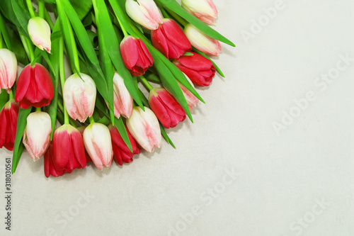 Fototapeta Naklejka Na Ścianę i Meble -  Beautiful tulips on light background.