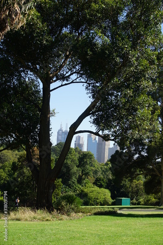 View on Melbourne from Birrarung Marr, Australia