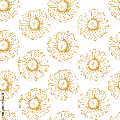 Floral seamless pattern with Golden daisies on white background for Wallpaper, greeting card, gift box, textile printing.