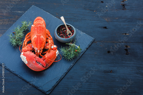 Solted Boiled lobster, small white snails grown on the lobsters shell with juniper twigs and balls of red and black pepper on dark blue wooden rustic background photo