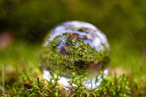 Glassball on grass