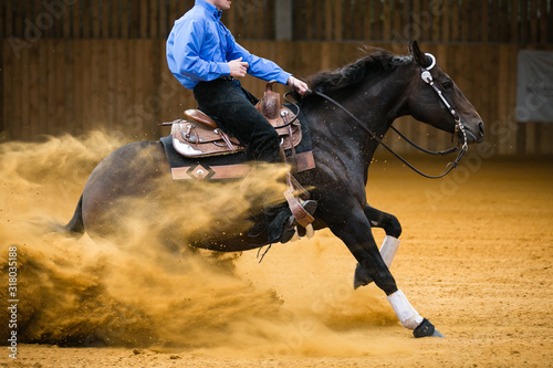 Equestrian Reining photo