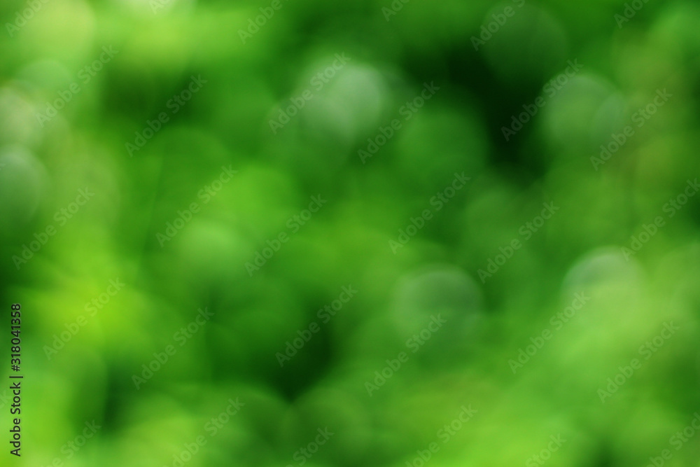 Green Yellow Bokeh Background
