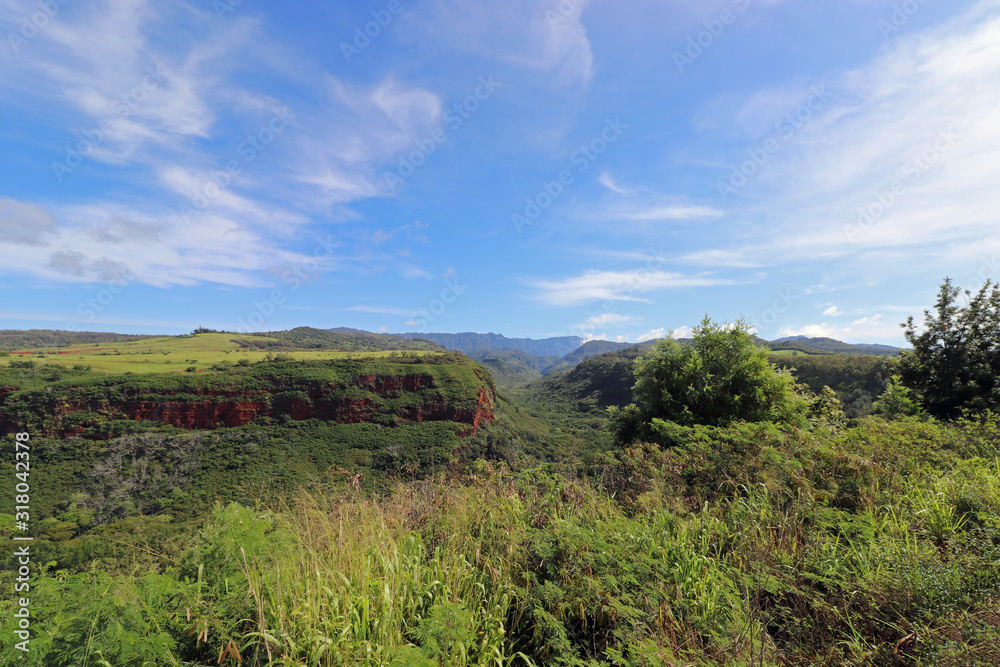 wild green landscape on the island of Kauai Hawaii