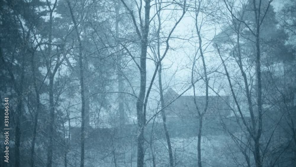 Secluded cabin in the woods in heavy snowfall, establishing shot Secluded cabin in the woods in heavy snowfall, establishing shot