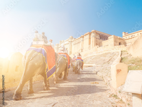 Elephant Ride at Amber-Fort Amber Jaipur Rajasthan India