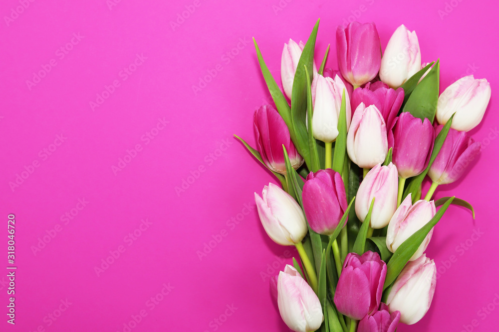 Bouquet of beautiful tulips on pink background. Bouquet of beautiful tulips on pink background.