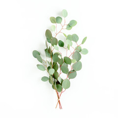 A bunch of twigs green eucalyptus  and leaves isolated on white background. flat lay, top view