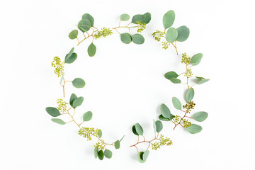 Round frame with branches eucalyptus and leaves with fruits in the form of berries isolated on white background. lay flat, top view