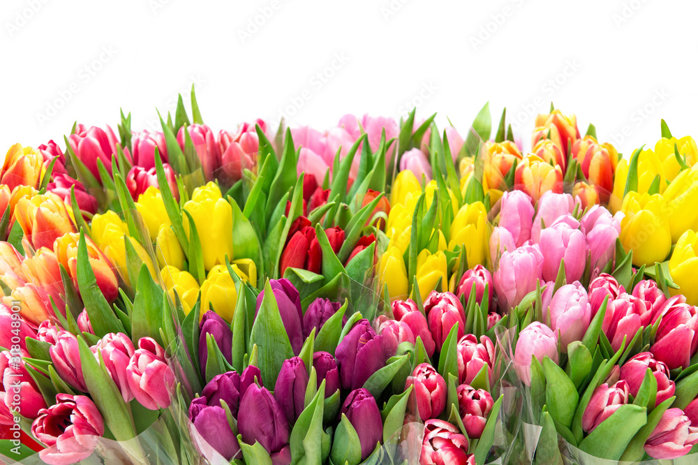Tulip Flower Spring bouquet.Valentines Day.Mothers Day Tulip Flower Spring bouquet.Valentines Day.Mothers Day