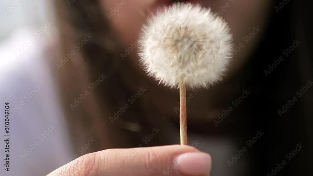 Close-up of carefree girl blowing on dandelion. Beautiful shot of white seeds flying. Fragile white dandelion blossom gets blown away by beautiful young woman. Healthy smiling girl on spring lawn.