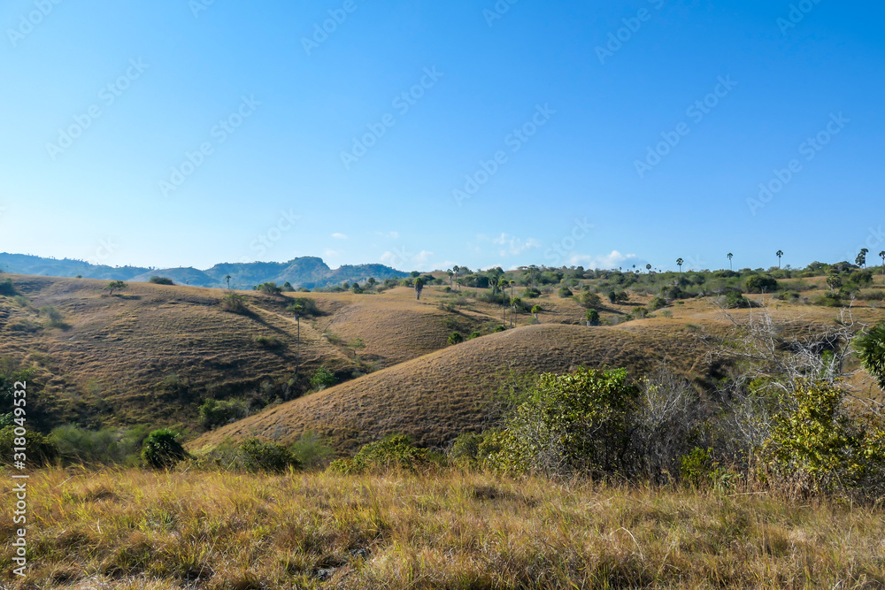 A view from top of the Komodo Island in Indonesia. Discovering new places. The island is partially overgrown with small trees and bushes. Endless hills. Volcanic island.