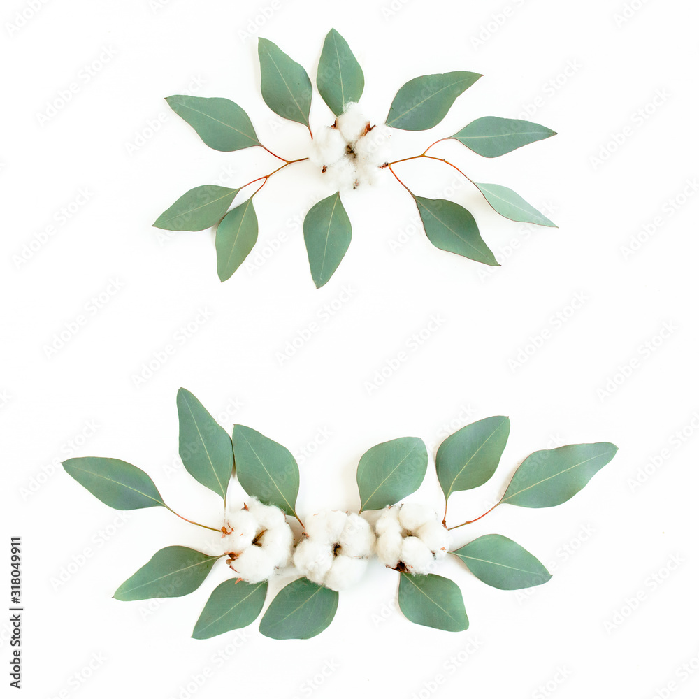 Wreath frame made of branches eucalyptus and cotton isolated on white background. lay flat, top view