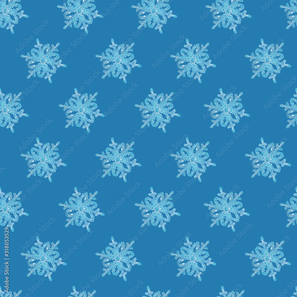 Seamless pattern - real snowflakes on a blue background. The concept of winter, frost, holidays, New Year, Christmas.