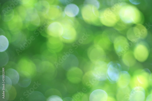  Abstract The natural yellow-green bokeh is beautiful and blurred during the summer, which is the yellow-green bokeh taken from the leaves on the tree and has yellow, blue and white light.