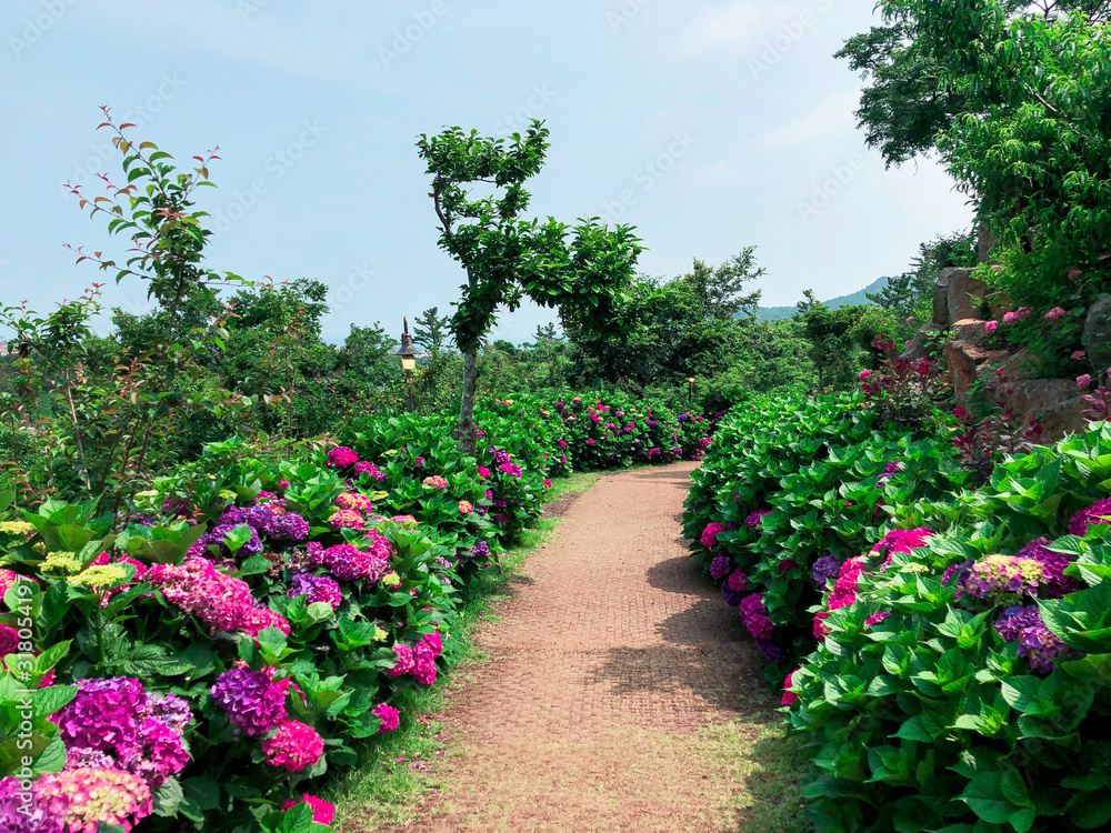 Beautiful garden on a villa. Jeju island. South Korea