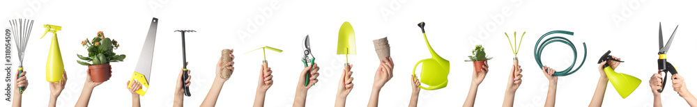 Female hands with different gardening supplies on white background - obrazy, fototapety, plakaty 