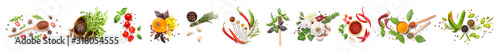 Different fresh spices, herbs and vegetables on white background