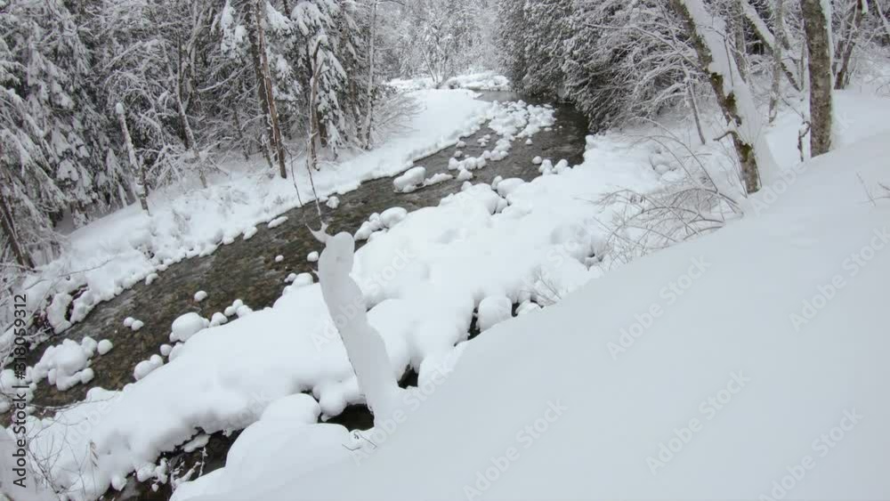 Snowshoe POV Walking in Deep Powder to Reveal Snowy Forest River Snowshoe POV Walking in Deep Powder to Reveal Snowy Forest River