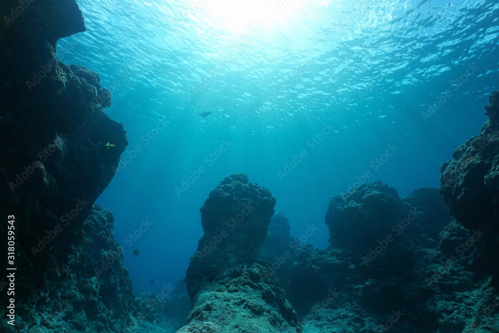 Underwater seascape, rocky reef on the ocean floor with sunshine through water surface, natural scene, Pacific ocean, French Polynesia