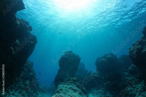 Underwater seascape, rocky reef on the ocean floor with sunshine through water surface, natural scene, Pacific ocean, French Polynesia