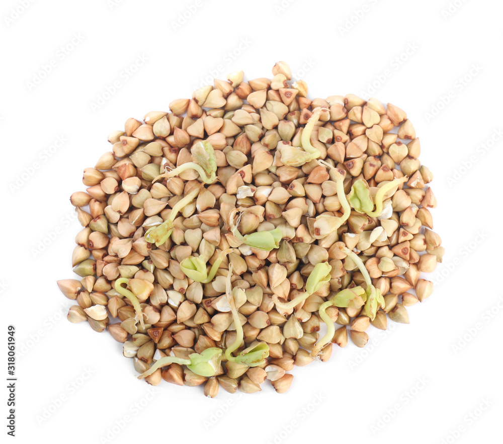 Fototapeta premium Heap of sprouted green buckwheat isolated on white, top view