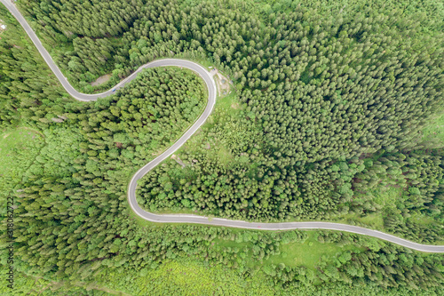 Top down aerial view of winding forest road in green mountain spruce woods.