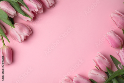 Beautiful spring tulips on light pink background, flat lay. Space for text