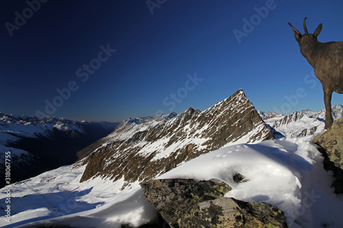 View from Wurmkogel peak (3080 m), Gurgler valley, Alps, Austria photo
