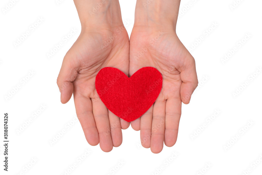 hands hold a red heart on white background