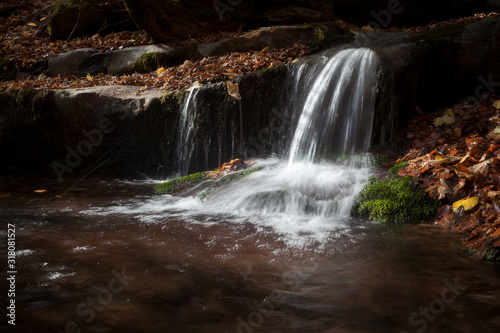 Dark  moody  artistic view of small mountain creek cascade surrounded by vibrant  sunlit  green moss and red leaves and rocks