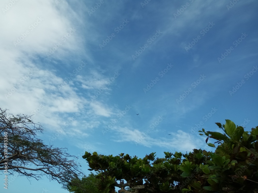 Obraz premium Sky overview