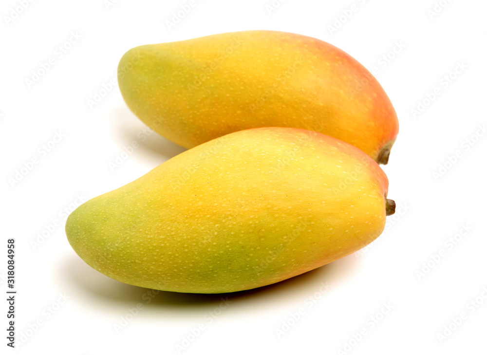 Mango on a white background