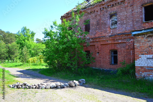  russian open spaces on a summer day photo