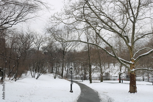 winter in the park © arnoldo